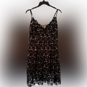 City Chic size 16 So Fancy Dress